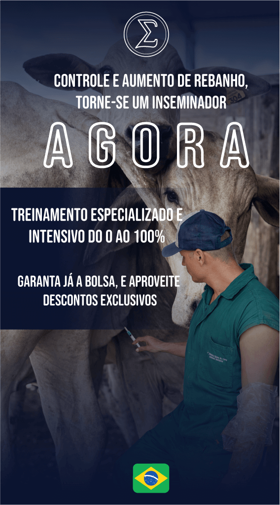Estrutura do curso de IATF