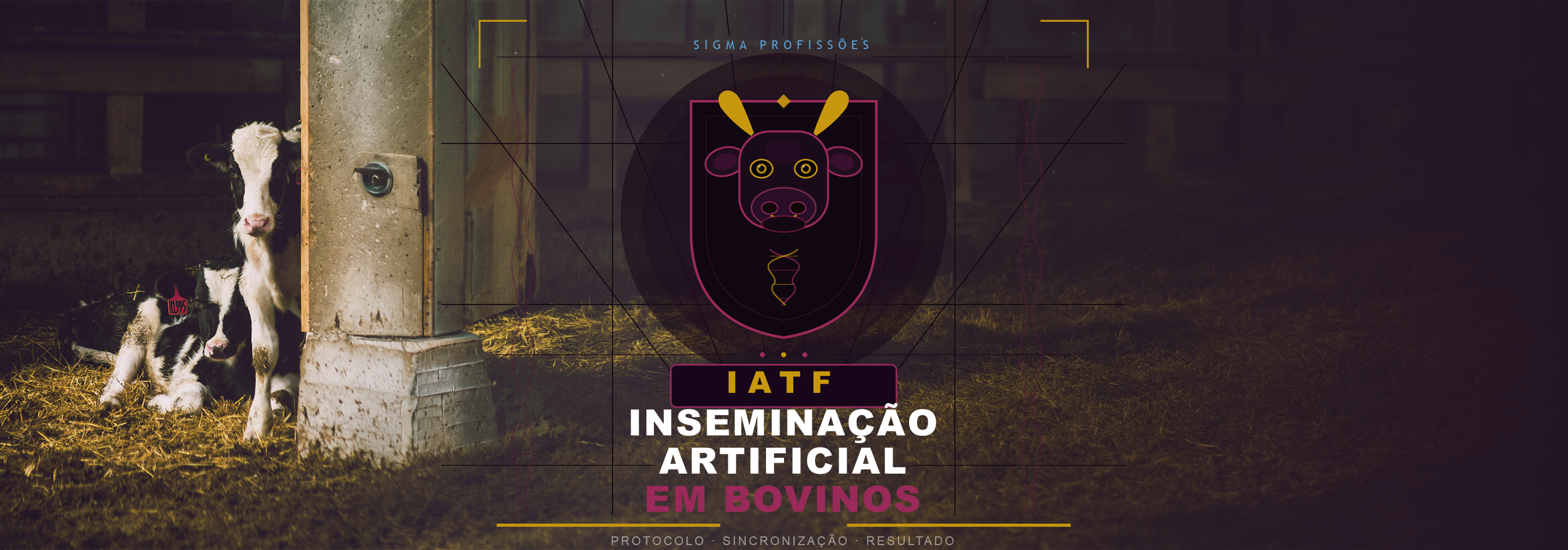 Formação profissional online em Inseminação Artificial em Bovinos - IATF
