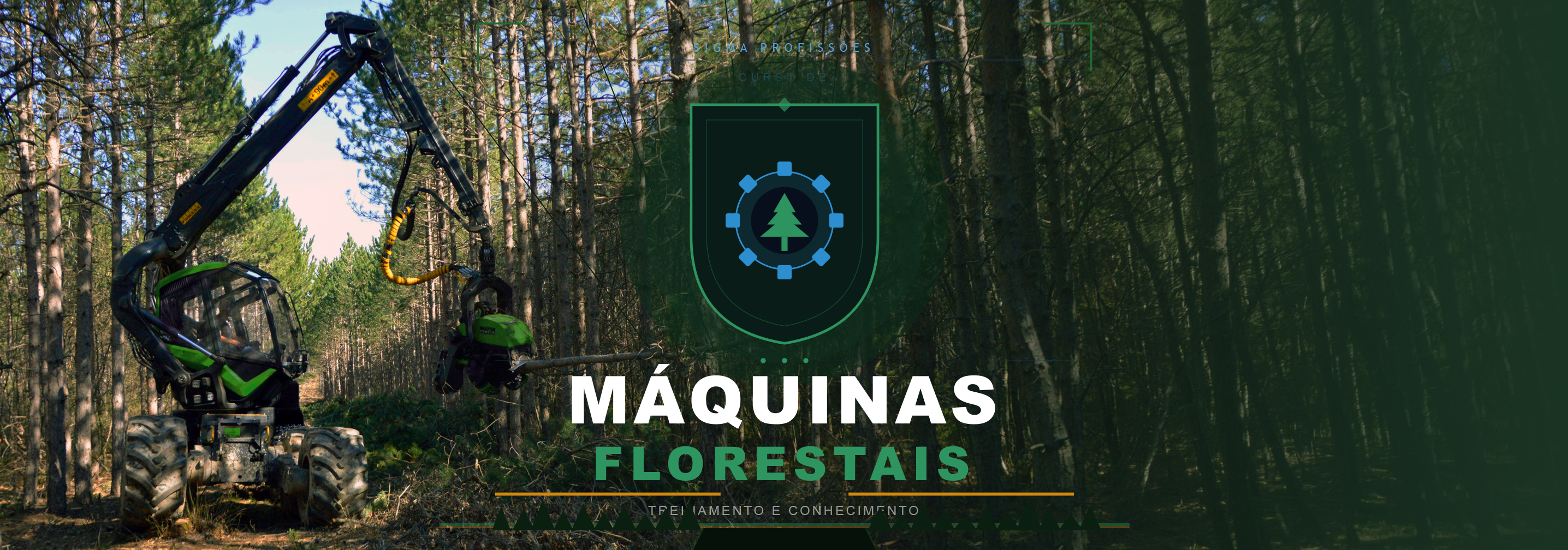 Formação profissional em Operador de Máquinas Florestais
